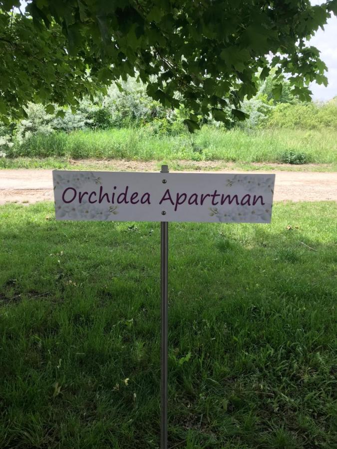 Orchidea Apartman เฮจจ์คู ภายนอก รูปภาพ